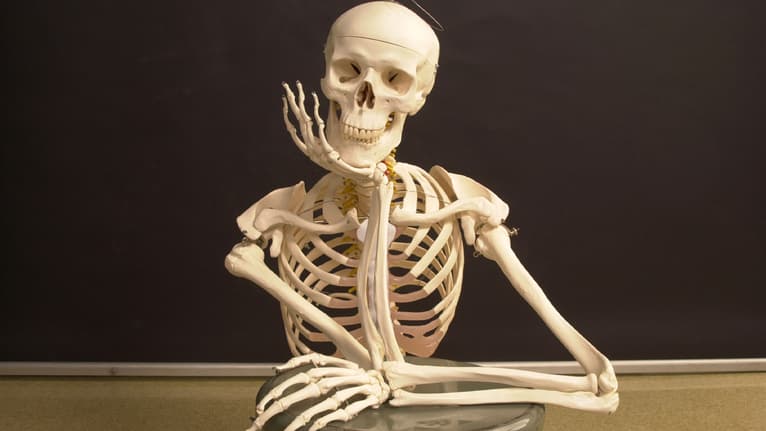 Understanding Orthopedics: Caring for Your Bones and Joints